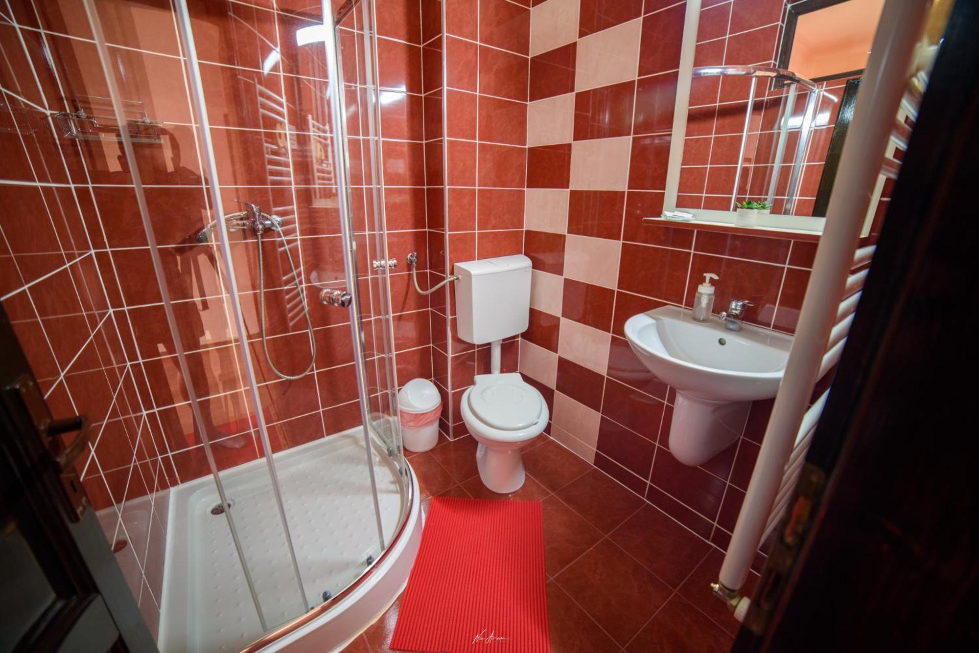 Casa Alina Villa Arieseni Ngoại thất bức ảnh
