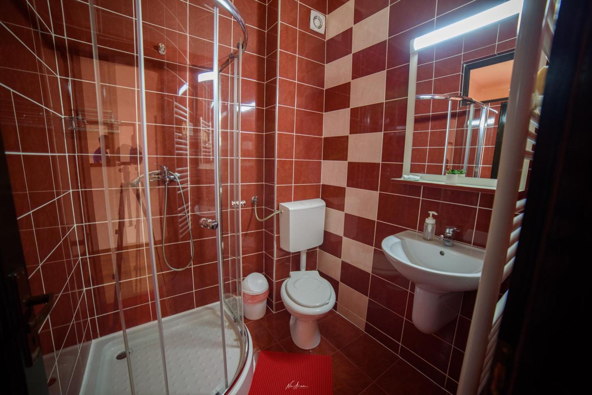 Casa Alina Villa Arieseni Ngoại thất bức ảnh